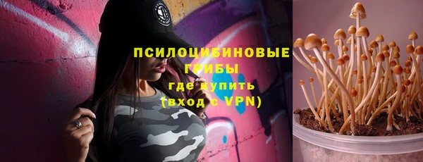 гашик Вяземский