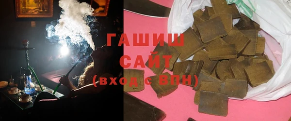 гашик Вяземский