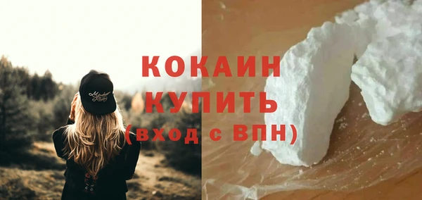 гашик Вяземский
