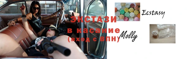 гашик Вяземский
