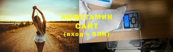 гашик Вяземский