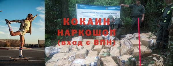 гашик Вяземский