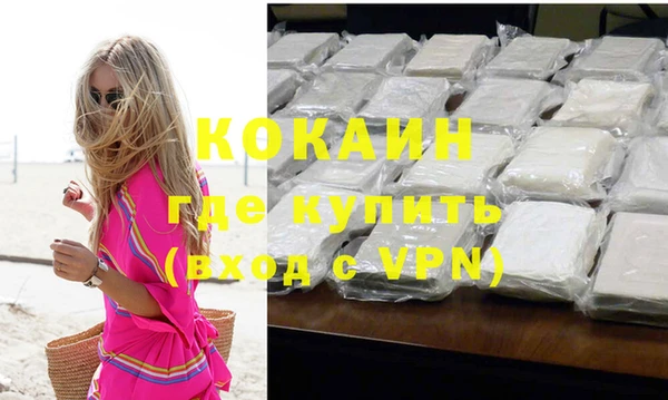 гашик Вяземский