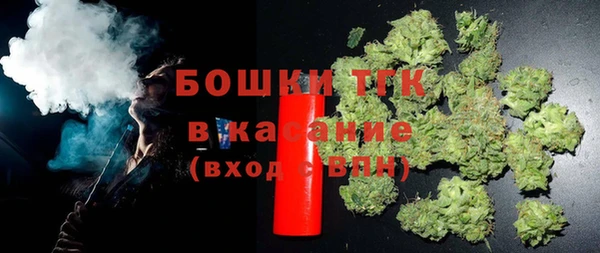 дживик Вязьма