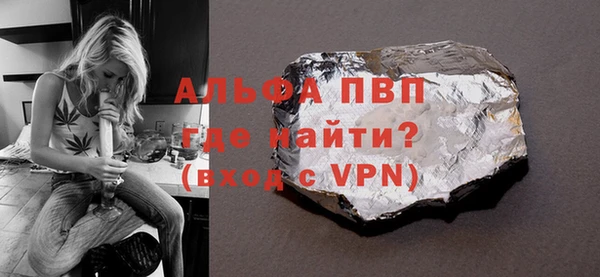 гашик Вяземский