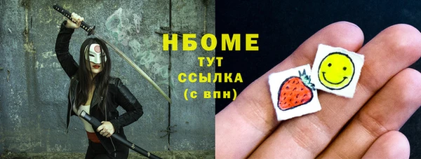 гашик Вяземский