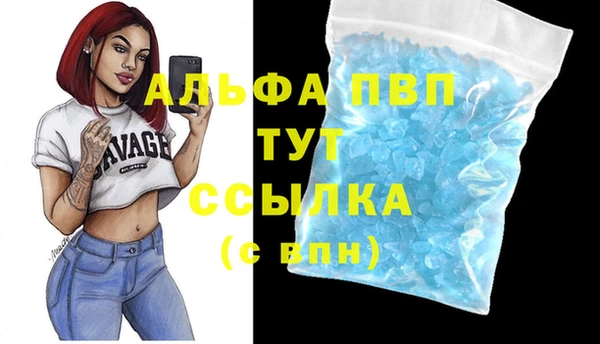 дживик Вязьма